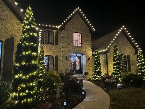 Christmas Light Installation