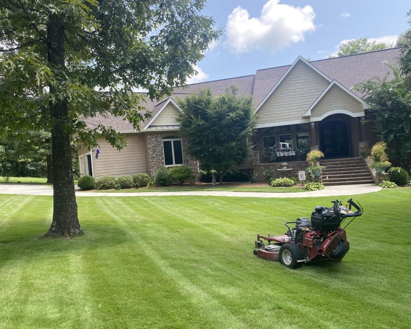 Lawn Maintenance