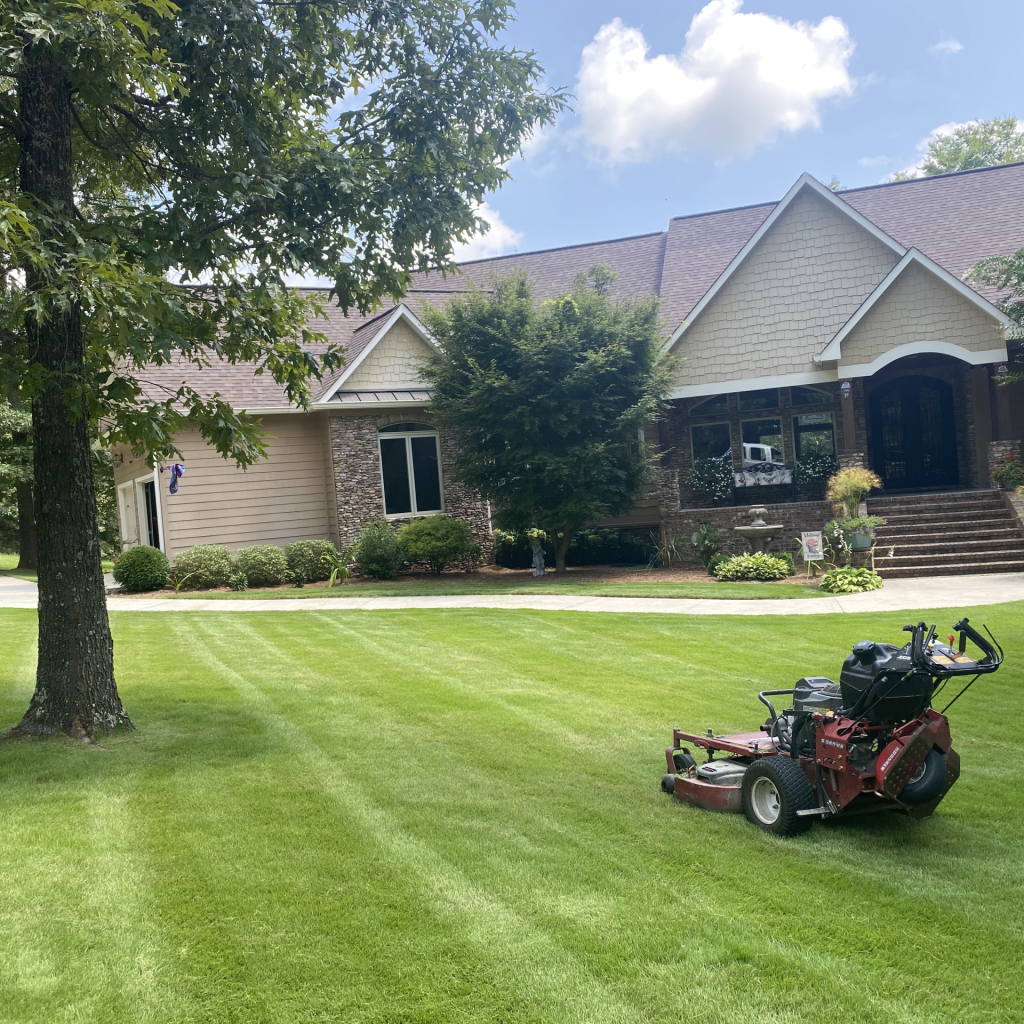 Lawn Mowing