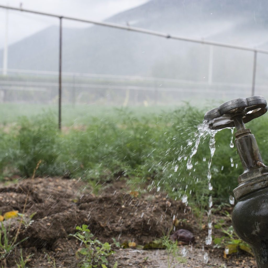 Irrigation