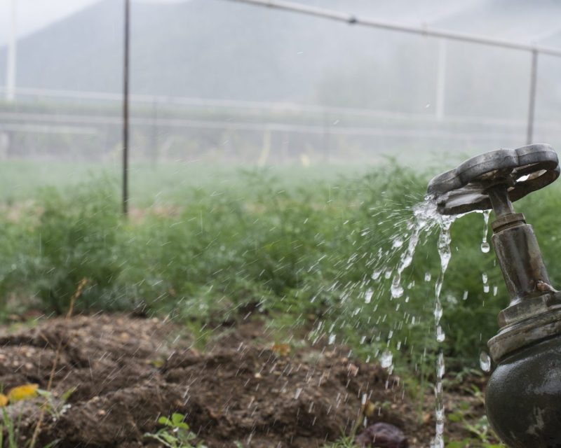 Irrigation