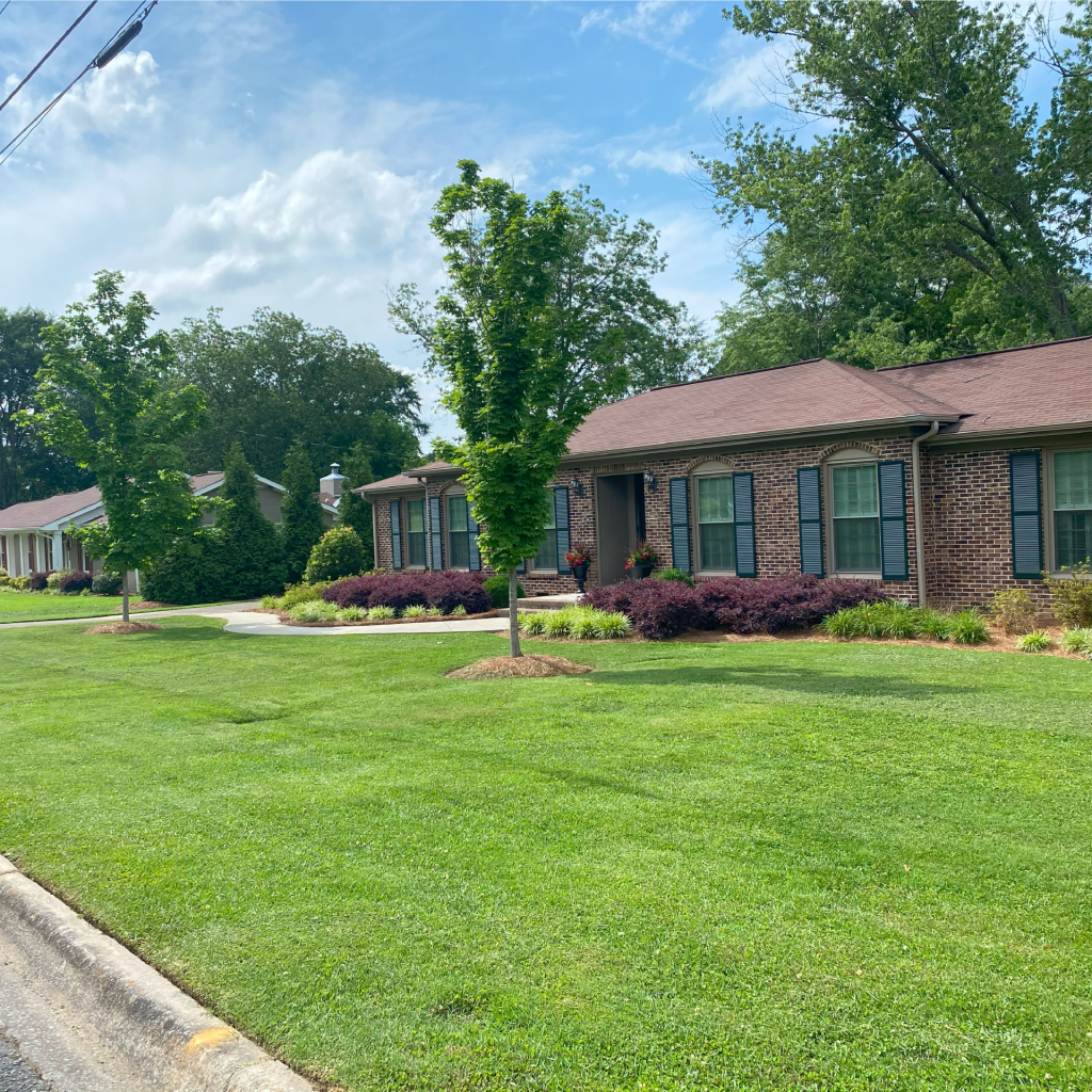 Lawn Maintenance