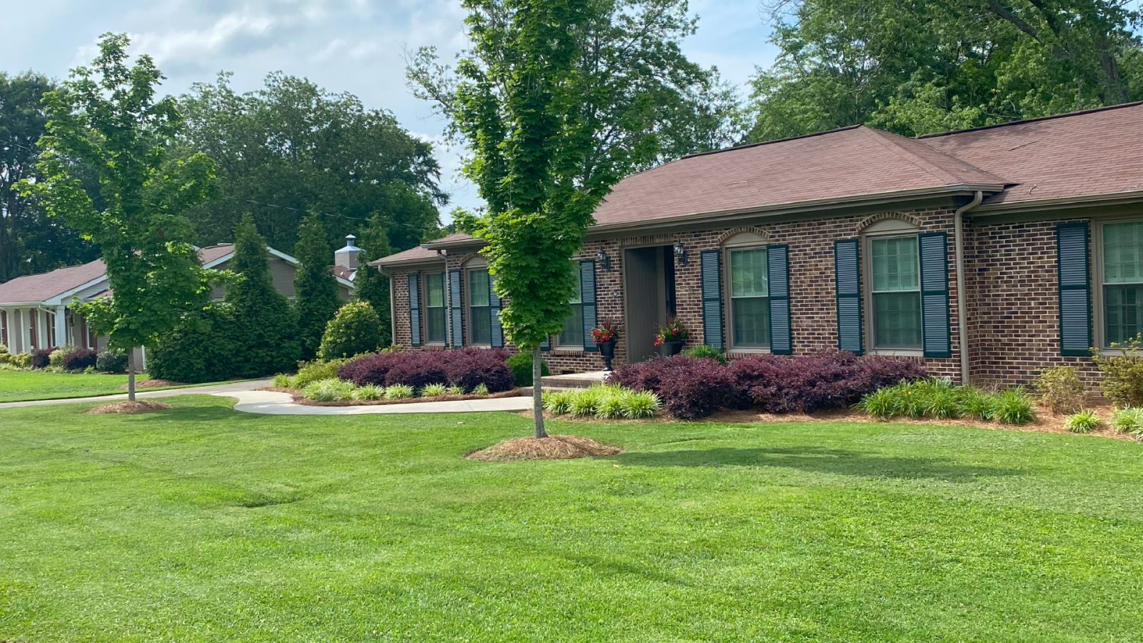 Lawn Maintenance