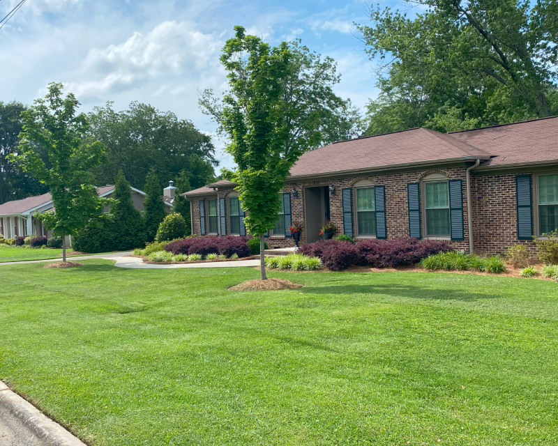Lawn Maintenance